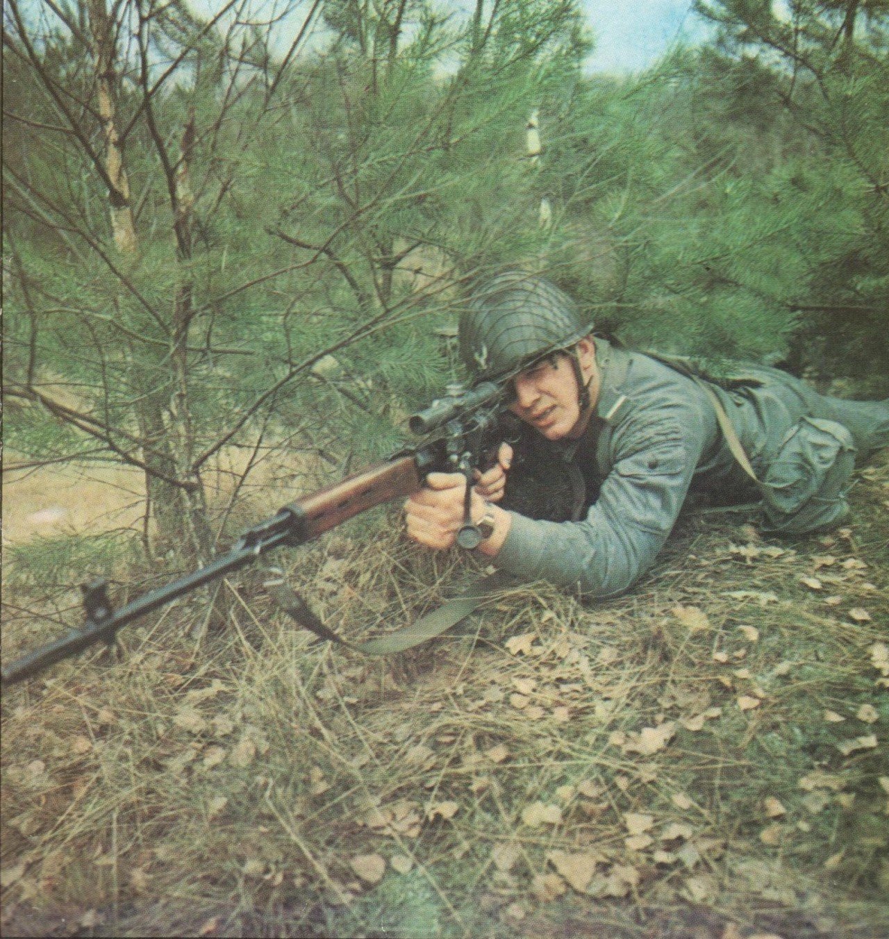 PSO-1